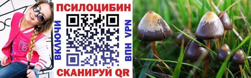 Галлюциногенные грибы мицелий Бузулук